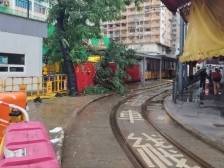 香港“十号风球”生效，港铁露天段列车和轻轨停运