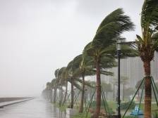 台风“韦帕”逼近珠海，与“天鸽”有何不同？