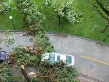 步入台风“韦帕” 10级风圈，直击中山南部镇街实况