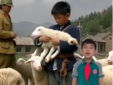 111新丰县第二小学钟坤毓：鸡毛信