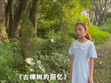 070新丰县遥田茶江小学李秀雅：古樟树的回忆
