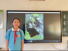 061新丰县回龙镇中心小学卢慧茹：燕子岩脱险记