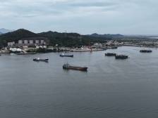 潮州全力应对台风“韦帕”，96艘船舶安全避风