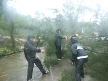 转移超9000人，江门台山全力防御台风“韦帕”