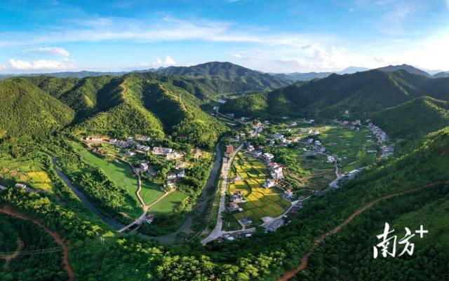 潭下镇杞水村满目皆绿。张烨子 摄