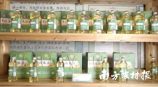 广西三椿生物科技有限公司山茶油产品。