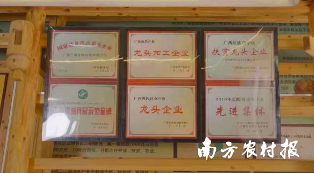 广西三椿生物科技有限公司获得的部分荣誉。