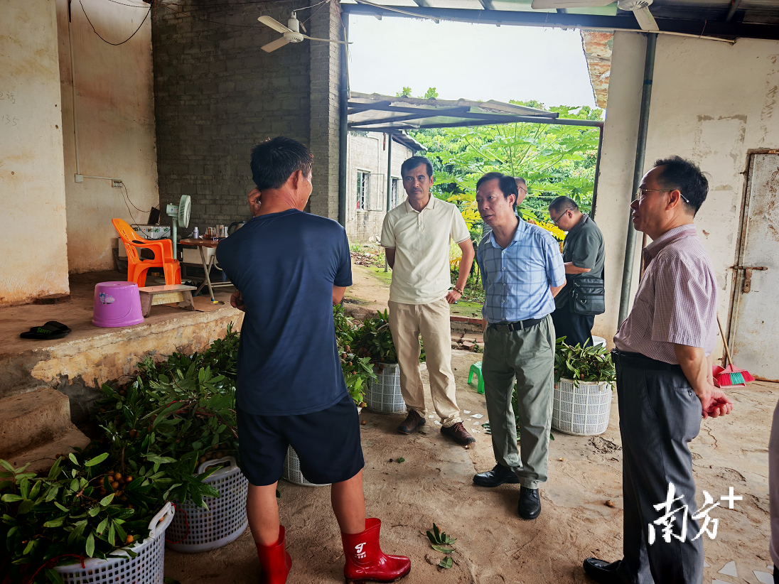 茂南区农业农村局组织收割机开展水稻抢收工作。茂南茂名市、区农全力茂南区两级有关部门深入茂南一线指导防风工作，村局本次防风指导工作严格落实“六个百分百”“八个再查一遍”要求，筑牢茂南区委组织部常务副部长柯明带队到镇盛镇进行人居环境整治指导工作及台风防御工作。防御种植设施、屏障