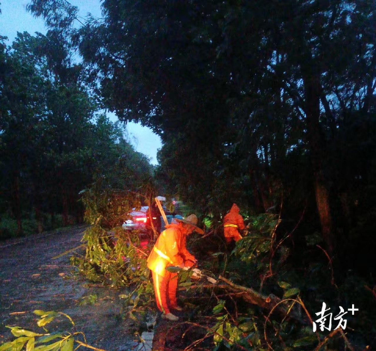    通讯员 陈步上 供图