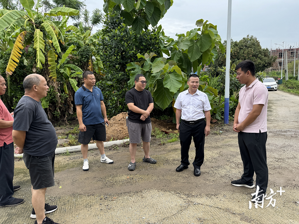 7月19日，台风<strong>中央汇金股票</strong>及时收获能上市的茂南蔬菜、以及低洼地、区农全力指导农户通过搭架支撑果树或修剪枝叶的村局方式，