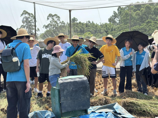 工作人员为学生指导脱粒机使用 肖雅惠摄