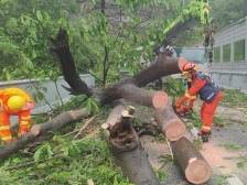 广东消防驰援防御台风“韦帕”，共出动737人次参与营救