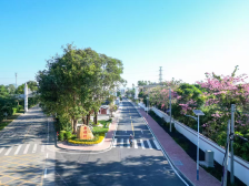 架炮村：“百千万工程”绘就人居美、共富宽、乡风纯新画卷｜初见成效看滨海③