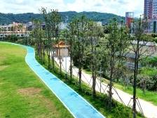 晨观山海 | 汕尾陆河“拯救”千棵珍贵华润楠