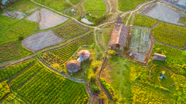 博士入村，寻路乡土｜中山“百千万”·每周荐