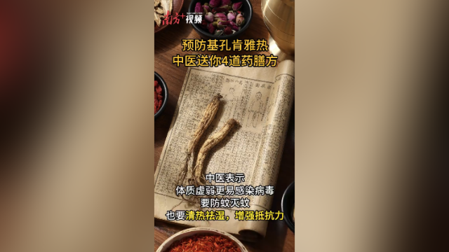 预防基孔肯雅热，中医送你4道药膳方