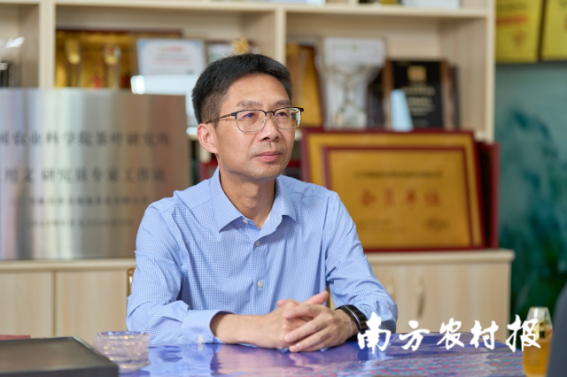 广西三江仙池茶业董事长张国富。