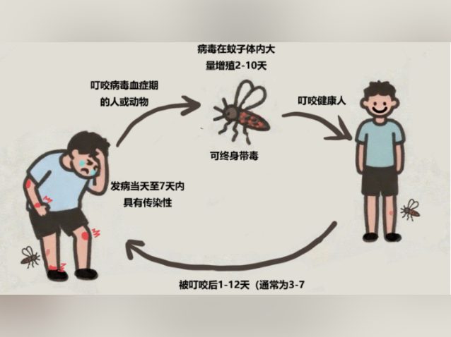 三水区6家医院定点收治基孔肯雅热患者，3个区域开展疫情处置
