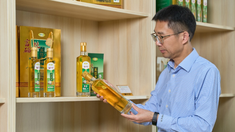 仙池茶业董事长张国富：以大湾区为支点，推动油茶走向世界|三江·油茶面孔③