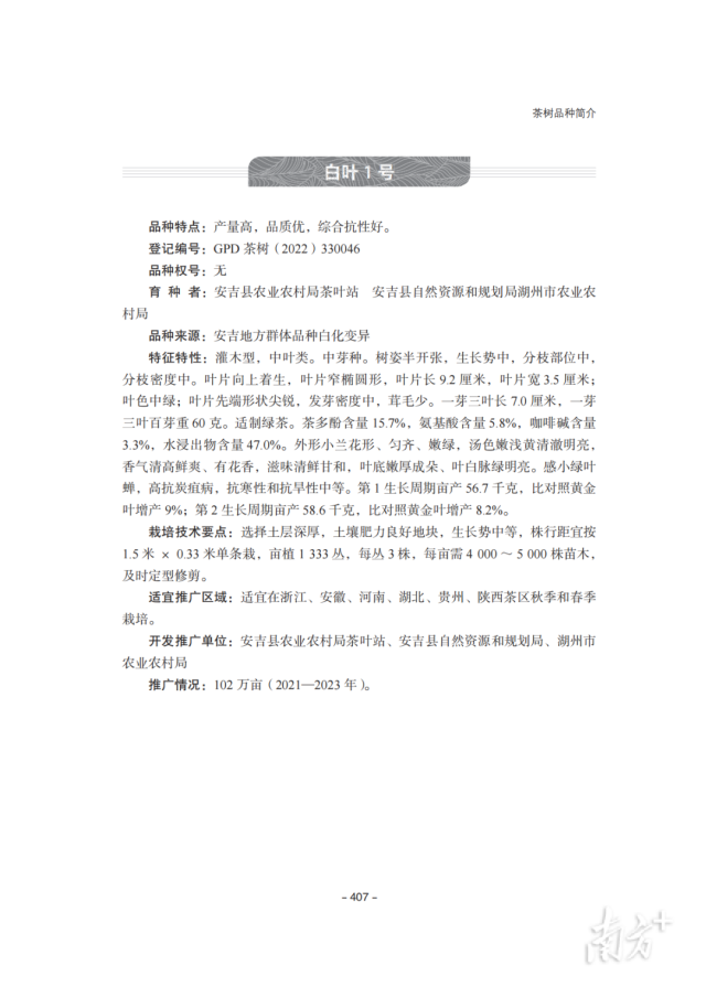 受访者供图
