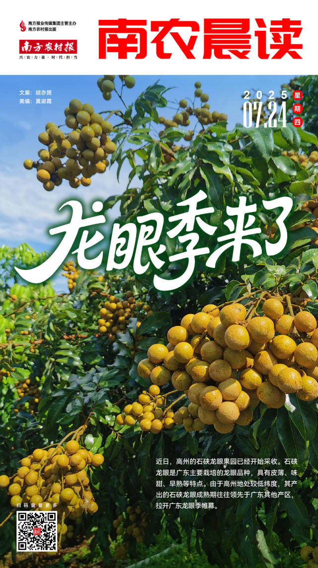 南方农村报 吴俊麒 制图