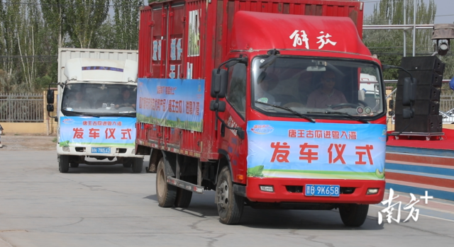 泰康鑫享世家（分成型）成为家庭临时资产的“压舱石”
