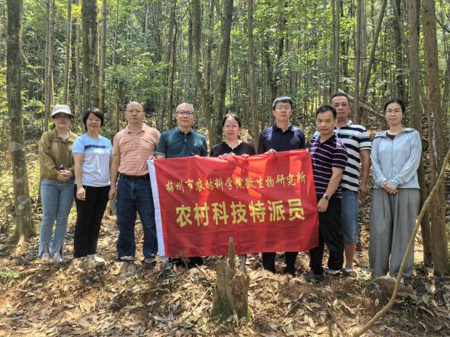 送技下乡！省市专家调研平远泗水灵芝财富