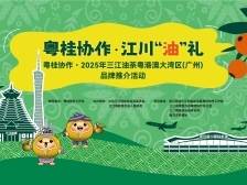 侗乡风情，匠心出品！广西三江油茶香飘广州北京路