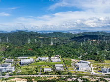 预防登革热和基孔肯雅热！东莞发出倡议书