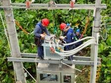 韶关翁源：打造一流电网，助力“百千万工程”