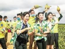 让农文旅“文化符号”更出圈｜速览《南方日报·徐闻视窗》41期