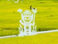 蕉岭牵手丽江，九月大地艺术季启幕共绘“南丽江、北蕉岭”新画卷