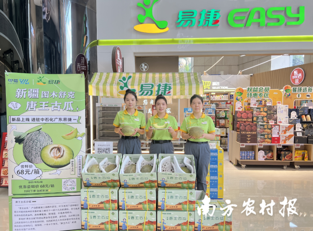 新疆图木舒克唐王古瓜带进陆续中石化广东石油公司、广州体育西易捷便利店、广州珠江二加油站等多个易捷加油站。