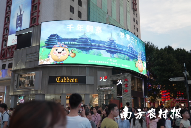 三江油茶亮屏广州北京路商圈。