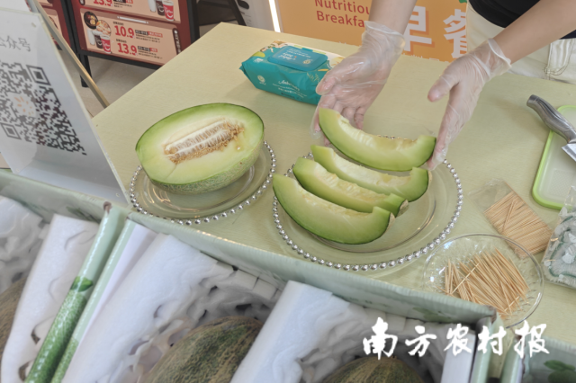 新鲜、甜蜜的新疆图木舒克唐王古瓜。