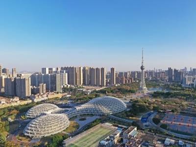 新增31例！禅城累计报告基孔肯雅热确诊病例178例