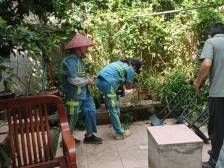 蚊虫“克星”集结！黄花岗永福社区双线出击筑牢登革热防护网