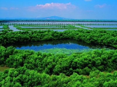 守护地球“生命线”，南沙在行动