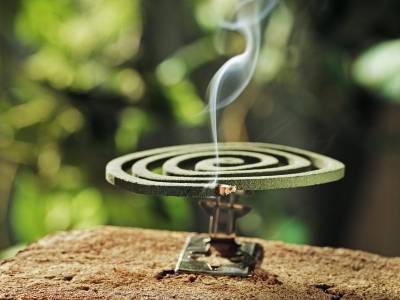 顺德多村居发倡议：下午6点全村点蚊香！为何这么做？