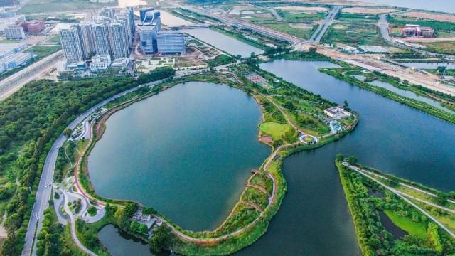 翠亨时评｜打响城市升级战，翠亨新区的绿色发展辩证法