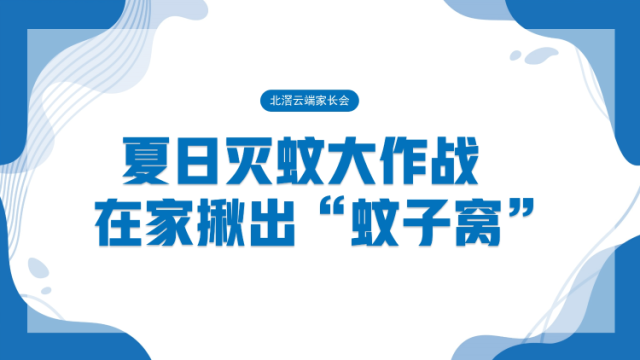 夏日灭蚊大作战，如何在家揪出“蚊子窝”？