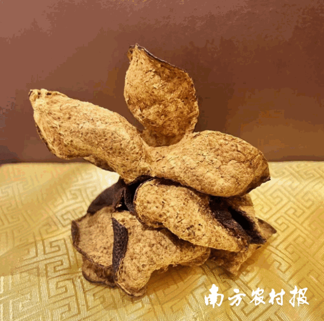 受访者供图