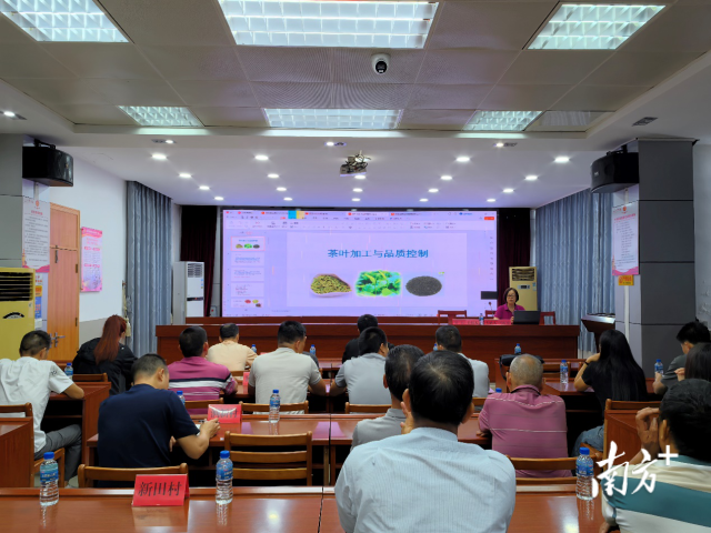 科技特派员组团下沉,助力涧头茶产业高质量发展