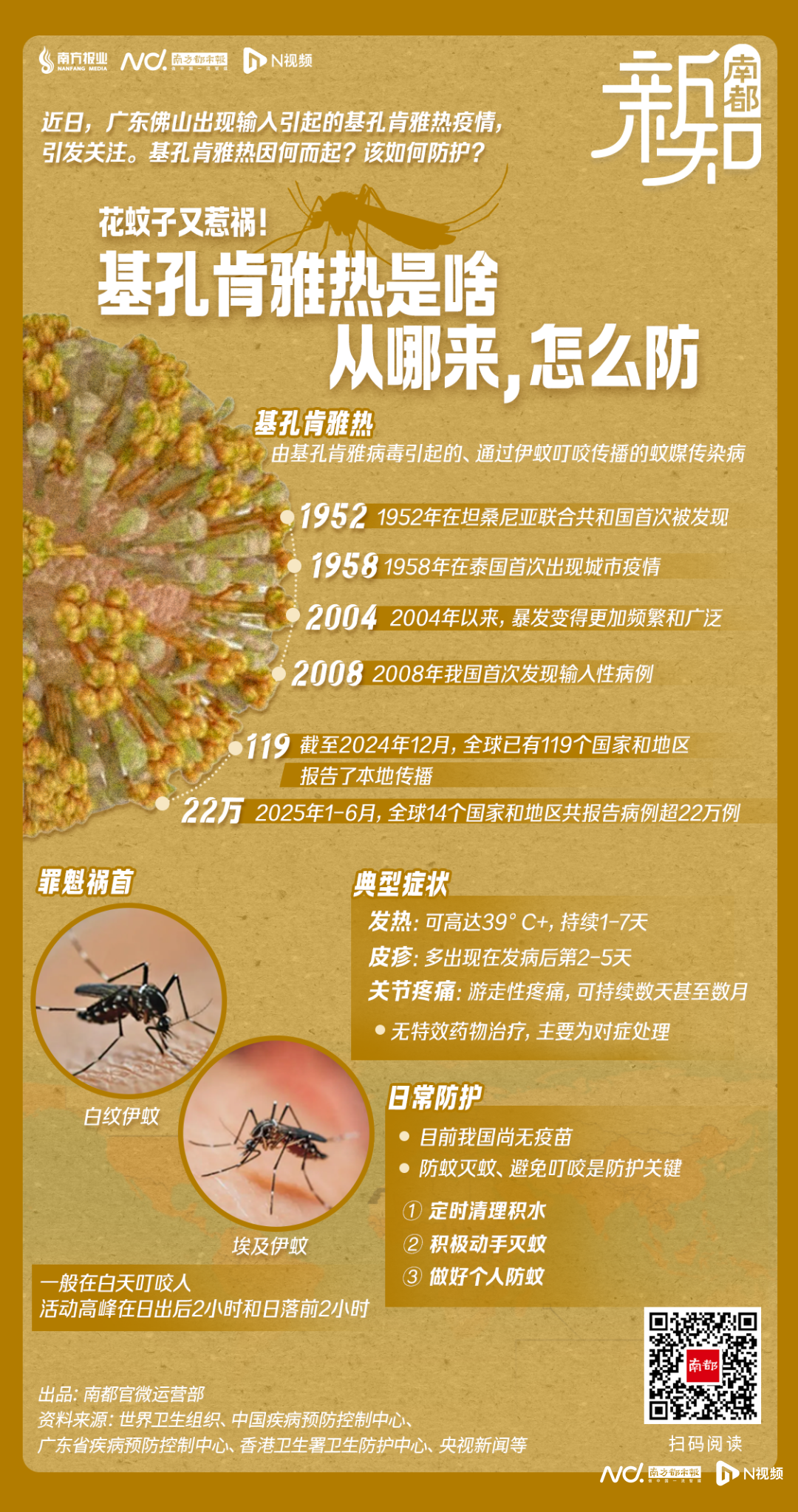 5000多条“灭蚊鱼”上岗！佛山禅城蚊媒传染病防控总动员