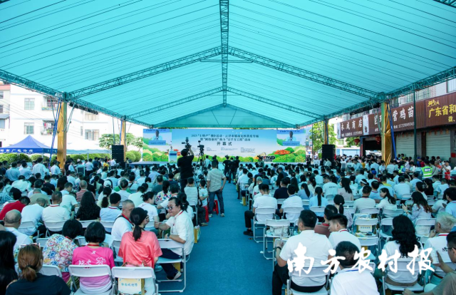 7月25日，2025“土特产”推介活动·云浮市郁南无核黄皮专场暨“网络强村”助力“百千万工程”系列活动在郁南县建城镇启幕。