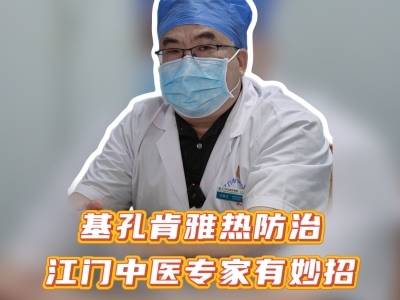 视频｜基孔肯雅热防治，江门中医专家有妙招