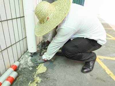 广州杨箕社区出现基孔肯雅热病例，7月26日起全市开展防蚊灭蚊行动