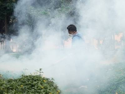 全民战蚊，源头断链！一连7天，佛山开展爱卫专项行动