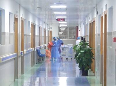 事关基孔肯雅热，海珠发布最新倡议