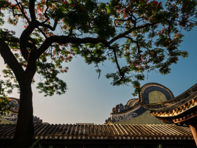 光影乐章：周氏大宗祠的建筑巧思与摄影审美｜古建光影